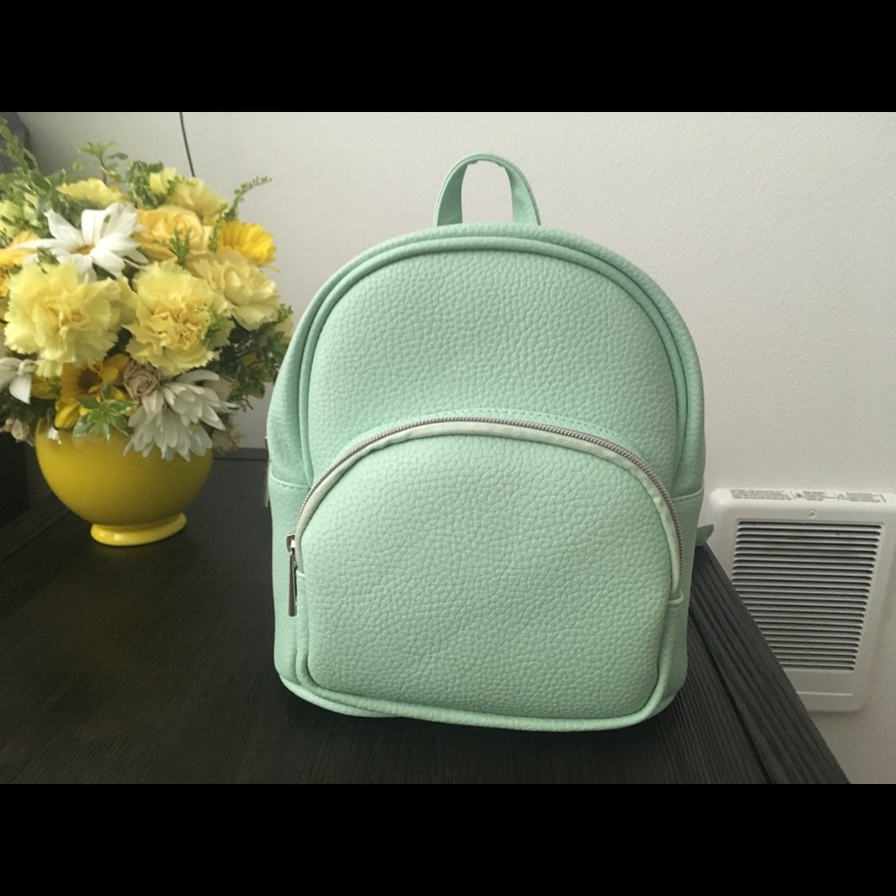 Asos Mint Backpack(small)